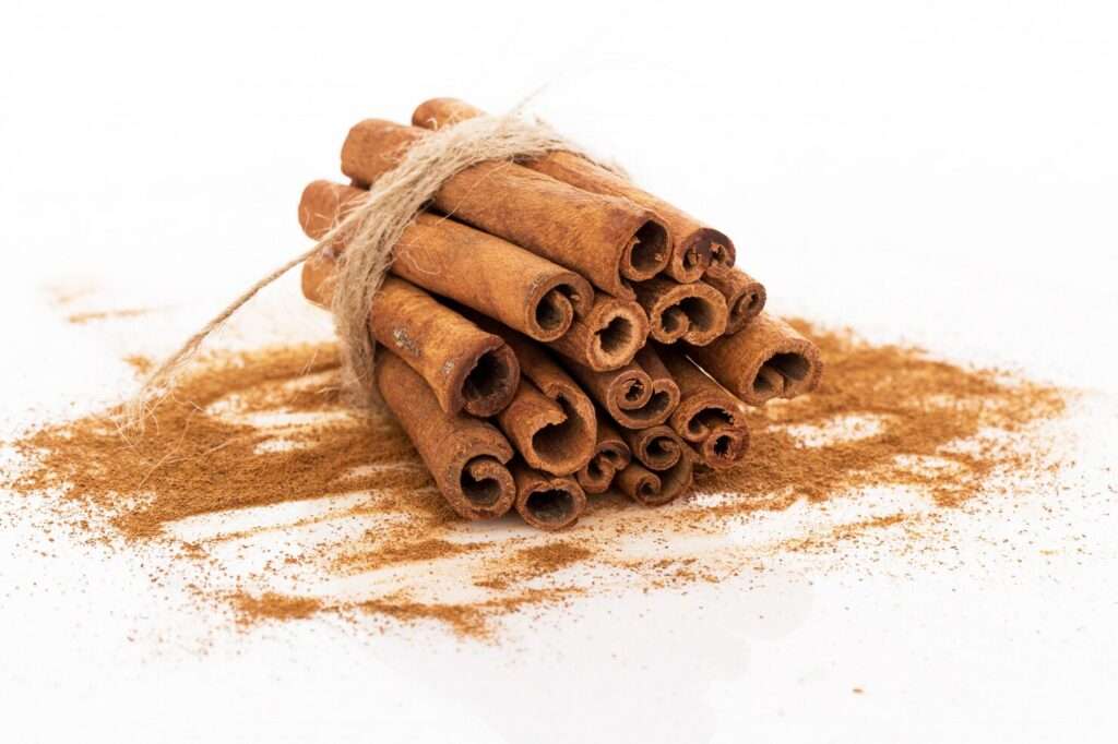 Exploring the Cinnamon Plant: Growth, Varieties, and Essential Benefits